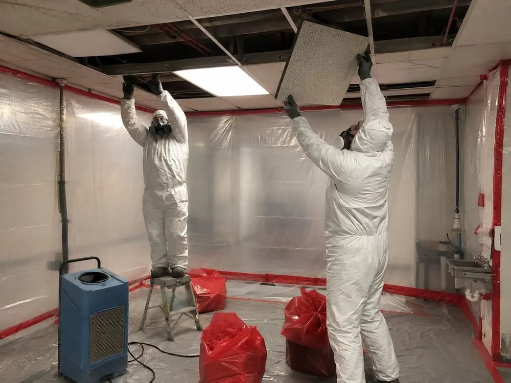 Hamilton asbestos specialists