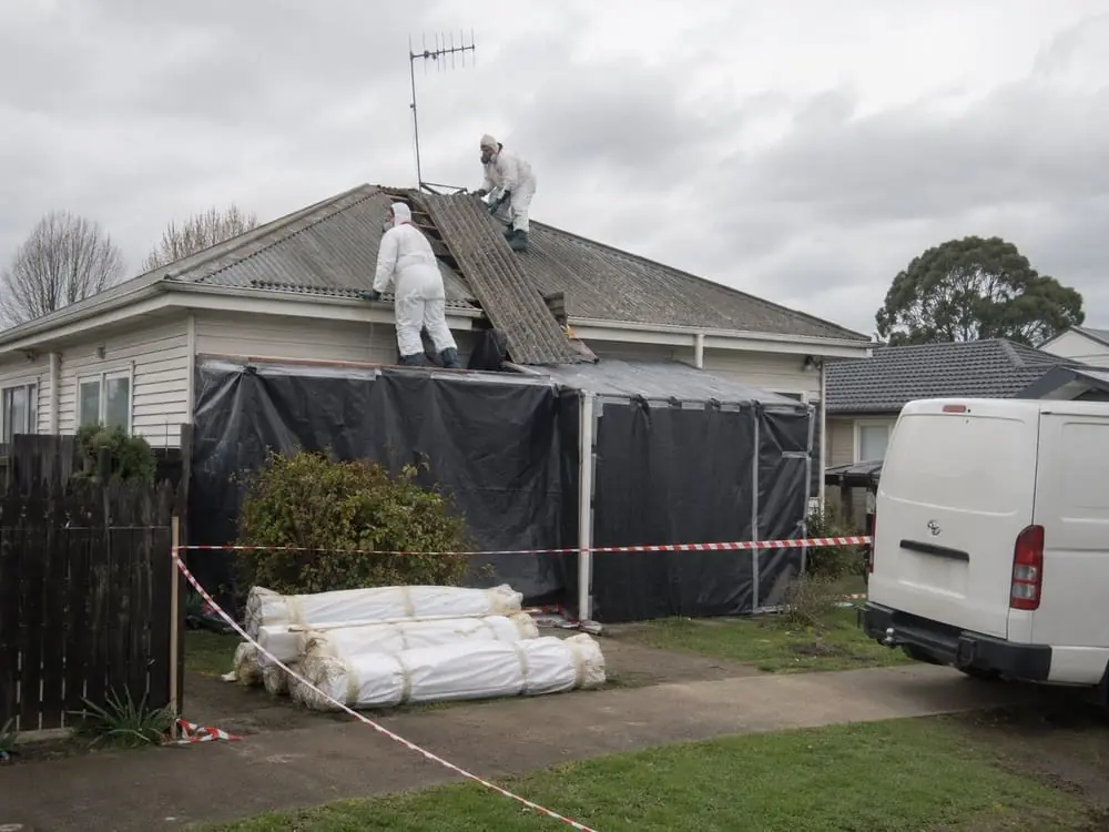 Professional asbestos handling in Hamilton