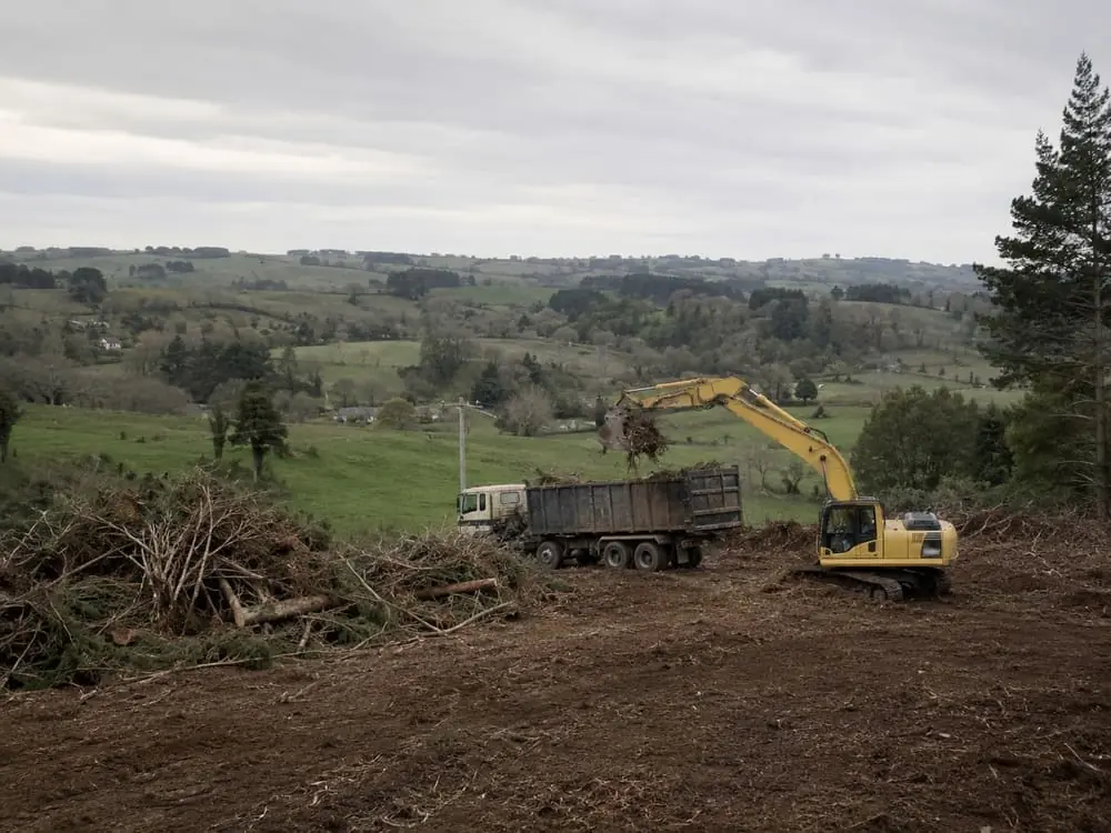 Earthmoving contractors in Hamilton, NZ