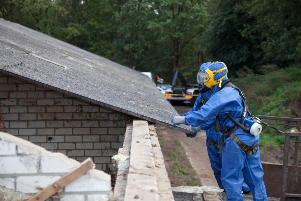 asbestos removal hamilton